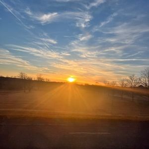 Meet your Posher, Peyton